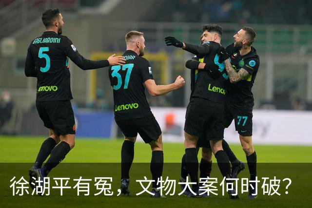 徐湖平有冤，文物大案何时破？